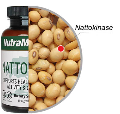 Nattokinase 60 capsules